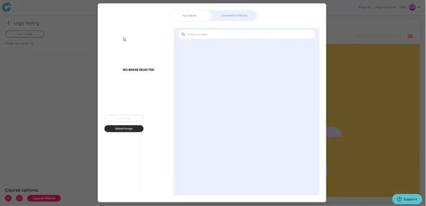 Chameleon Creator upload assets to image library